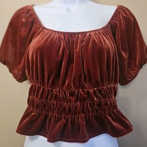 Forever 21 Women's Size L Velvet Orange Cropped Peasant Top Puff Sleeve Bohemian